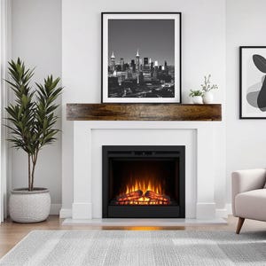 May include: A modern fireplace with a black firebox and a faux wood mantel. Above the mantel is a framed black and white photograph of a city skyline. A tall potted plant and a gray rug complete the room's decor.