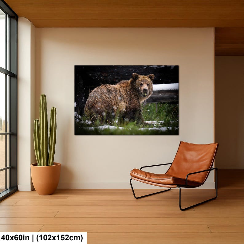 May include: A rectangular wall art print featuring a brown grizzly bear standing in green grass with light snowfall. The bear has thick, textured fur and is looking toward the viewer. The print measures 102 by 152 cm in total size.