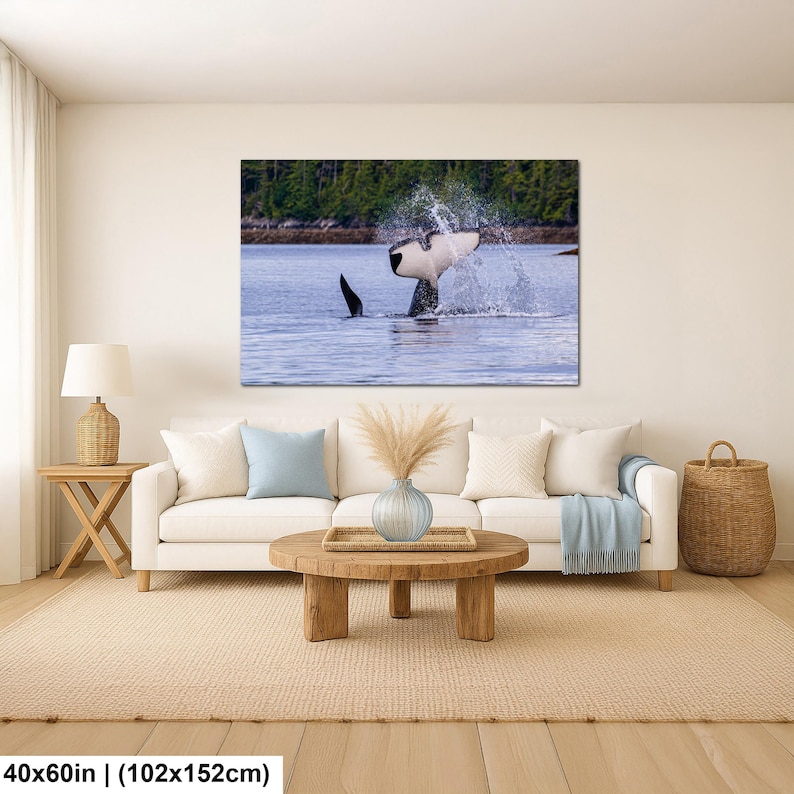 May include: A rectangular wall art print featuring a black and white orca whale tail splashing in blue water with a green forest shoreline in the background. The print measures 40 by 60 inches and is displayed above a white sofa in a living room.