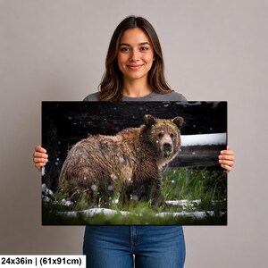 May include: A rectangular wall art print measuring 61 by 91 cm, featuring a brown grizzly bear standing in a grassy field with patches of snow. The bear is captured in profile, facing forward, amidst falling snowflakes and dark foliage.