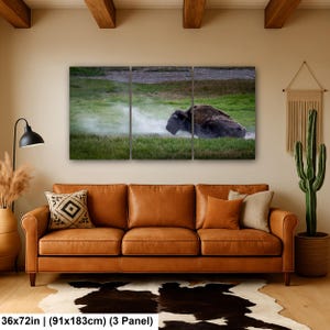 Bison Dust Bath Yellowstone Lamar Valley Fine Art 36x72 inch (3 panel)