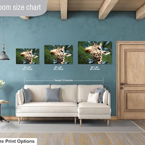 K&ouml;nnte beinhalten: Eine Gr&ouml;&szlig;entabelle f&uuml;r Wohnzimmer mit drei rechteckigen Wandbildern, die einen Giraffenkopf vor gr&uuml;nen B&auml;umen zeigen. Die Drucke sind mit den Ma&szlig;en 41x61 cm, 51x76 cm und 61x91 cm &uuml;ber einem beigen Sofa beschriftet.