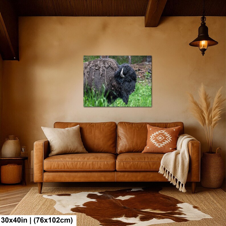May include: A rectangular wall art print featuring a side profile of a dark brown bison standing in green grass. The bison has thick, shaggy fur and a visible horn. The print is displayed on a wall above a leather sofa, measuring 30 by 40 inches.
