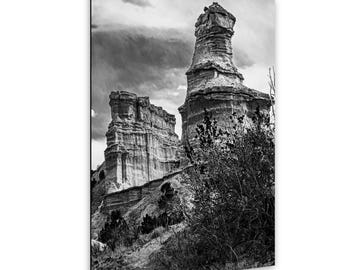 May include: A black and white photograph of tall, weathered rock formations rising from a rugged landscape. The scene features layered stone pillars under a cloudy sky, with dark, dense shrubbery in the foreground adding depth to the view.