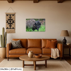 May include: A rectangular wall art print featuring a dark brown bison standing in green grass. The bison has thick, shaggy fur and curved horns. The print measures 24 inches by 36 inches and is displayed on a wall above a leather sofa.
