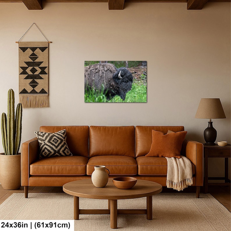 May include: A rectangular wall art print featuring a dark brown bison standing in green grass. The bison has thick, shaggy fur and curved horns. The print measures 24 inches by 36 inches and is displayed on a wall above a leather sofa.