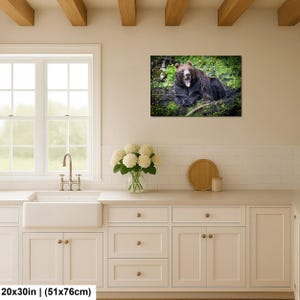May include: A rectangular wall art print featuring a brown bear resting in a field of green grass and yellow flowers. The bear is positioned in the center, with its mouth open, displaying its teeth. The print measures 20 inches by 30 inches.