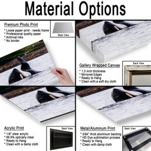 May include: A product display showing four material options for an orca whale photograph: a premium photo print, a 1.5 inch thick gallery wrapped canvas, an acrylic print, and a 3/64 inch thick metal aluminum print, each with back views.