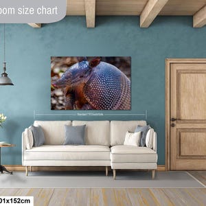 May include: A rectangular wall art print featuring a close-up of an armadillo with a textured, armored shell. The print is displayed above a cream-colored sectional sofa. The text "Livingroom size chart" and "40x60in | 101x152cm" are visible.