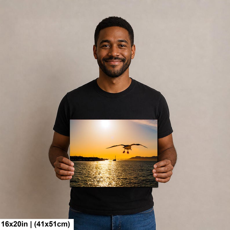 May include: A rectangular wall art print measuring 16 by 20 inches, featuring a photograph of a seagull in flight over a body of water during a golden sunset. The sun is low on the horizon, casting a bright reflection across the rippling water surface.