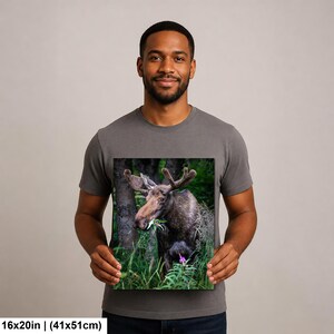 May include: A rectangular wall art print featuring a photograph of a brown moose with large antlers standing in a green forest, eating foliage. The print measures 16 inches by 20 inches and displays a detailed wildlife scene in natural colors.