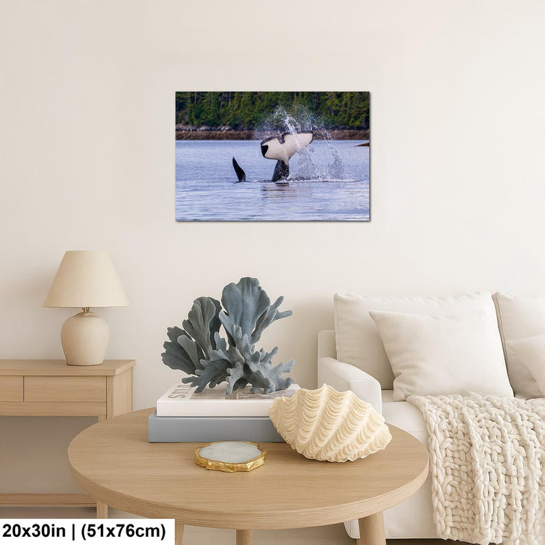May include: A rectangular wall art print featuring a black and white orca whale breaching the surface of blue water, creating a splash. The scene includes a distant shoreline with green trees. The print measures 20 inches by 30 inches.