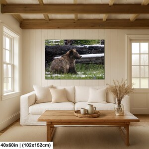 Yellowstone grizzlybjörnsprofil i sommarsnö fotografitryck 40x60 inches