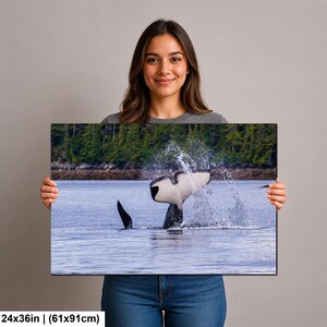 May include: A rectangular wall art print measuring 24x36 inches featuring a black and white orca whale tail breaching the surface of blue water, creating a large splash, with a dark green forest and rocky shoreline visible in the background.