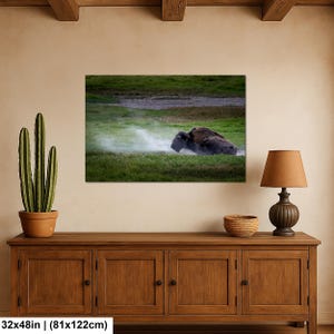 Bison Dust Bath Yellowstone Lamar Valley Fine Art 32x48 inches