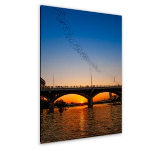 Texas Art Print, Austin Bats Wall Art, Congress Avenue Bridge at Sunset (Fine Art Photography)
