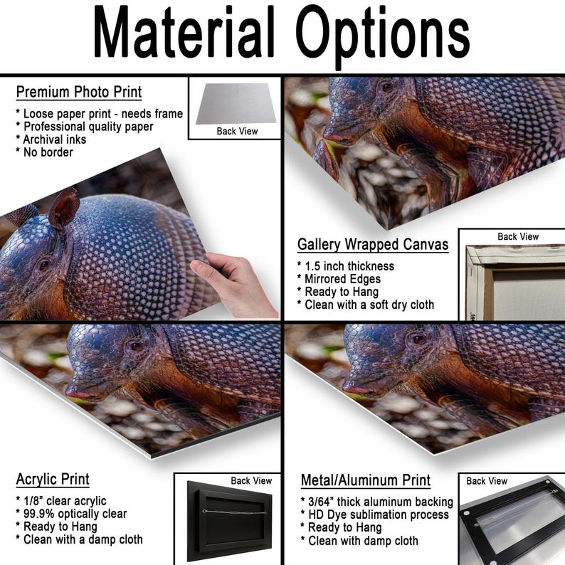 May include: A product display showing material options for an armadillo photograph. Options include a premium photo print, gallery wrapped canvas with 1.5 inch thickness, 1/8 inch clear acrylic print, and a 3/64 inch thick aluminum metal print.