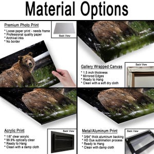 May include: A product display titled Material Options featuring a brown bear in a snowy forest. It shows four print styles: a loose paper photo print, a 3.81 cm thick gallery wrapped canvas, an acrylic print, and a 1.19 mm thick metal print.