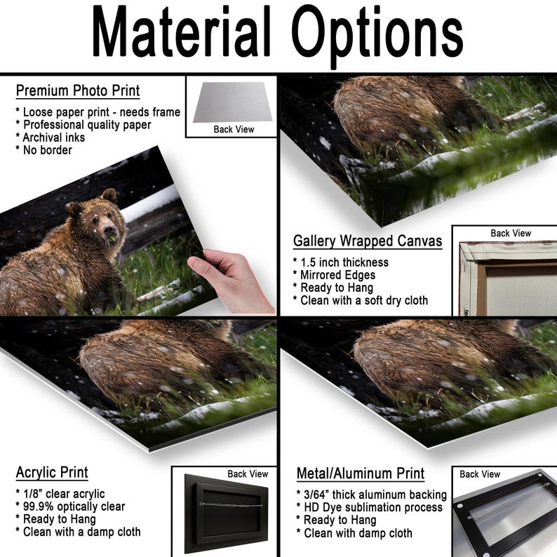 May include: A product display titled Material Options featuring a brown bear in a snowy forest. It shows four print styles: a loose paper photo print, a 3.81 cm thick gallery wrapped canvas, an acrylic print, and a 1.19 mm thick metal print.