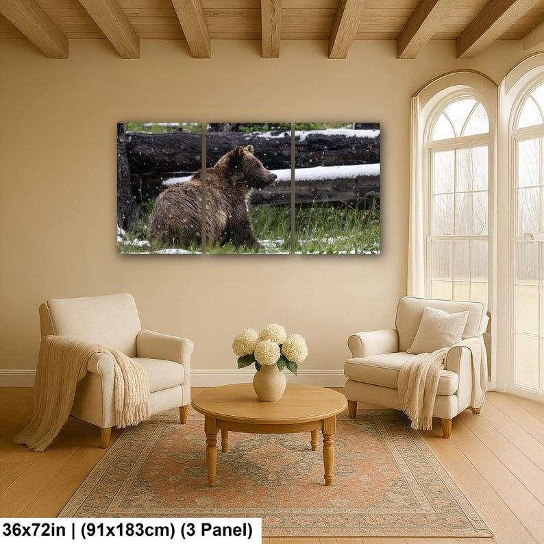 Yellowstone grizzlybjörnsprofil i sommarsnö fotografitryck 36x72 inch (3 panel)