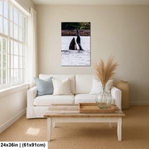 May include: A rectangular wall art print featuring a black and white orca whale breaching the surface of the water. The orca is shown with its dorsal fin and part of its body emerging from the sea, with a distant shoreline visible in the background.