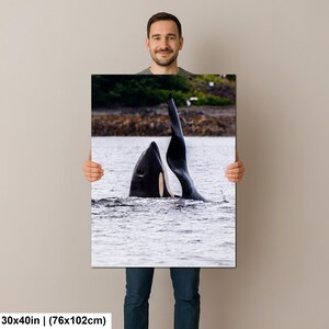May include: A rectangular wall art print measuring 30 by 40 inches featuring a high-resolution photograph of an orca whale surfacing in water. The black and white orca is shown with its dorsal fin and head visible above the rippling water surface.