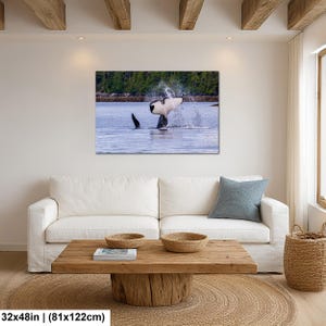 May include: A rectangular wall art print featuring a black and white orca whale breaching the water surface, creating a splash with its tail fluke. The scene includes a distant shoreline with green trees. The print measures 32 inches by 48 inches.