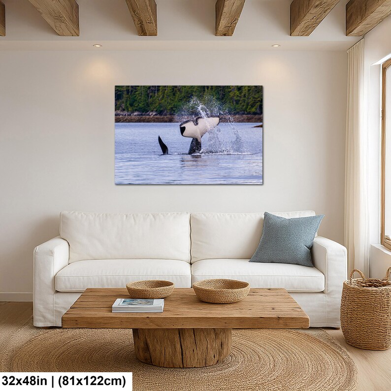 May include: A rectangular wall art print featuring a black and white orca whale breaching the water surface, creating a splash with its tail fluke. The scene includes a distant shoreline with green trees. The print measures 32 inches by 48 inches.