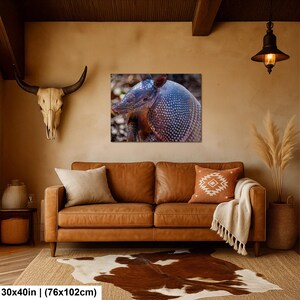May include: A rectangular wall art print featuring a close-up photograph of an armadillo with a textured, spotted shell. The print measures 30 inches by 40 inches and is displayed on a wall above a brown leather sofa in a living room setting.