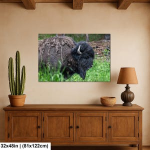 May include: A rectangular wall art print featuring a dark brown bison standing in green grass. The print measures 32 inches by 48 inches. The bison has thick, shaggy fur, a prominent hump, and a single visible curved horn on its head.