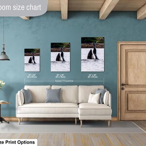 May include: A living room size chart displaying three rectangular wall art prints featuring orca whales in water. The prints are labeled with dimensions 16 x 24 inches, 20 x 30 inches, and 24 x 36 inches, positioned above a cream-colored sectional sofa.