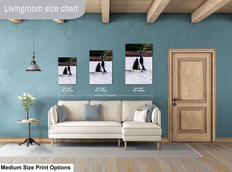 May include: A living room size chart displaying three rectangular wall art prints featuring orca whales in water. The prints are labeled with dimensions 16 x 24 inches, 20 x 30 inches, and 24 x 36 inches, positioned above a cream-colored sectional sofa.