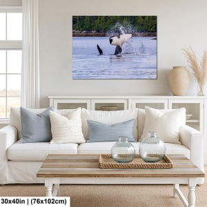 May include: A rectangular wall art print measuring 30x40 inches featuring a black and white orca whale breaching the surface of blue water, creating a large splash with its tail fluke, set against a backdrop of a distant green forest shoreline.