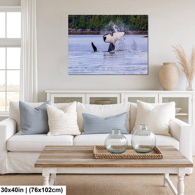 May include: A rectangular wall art print measuring 30x40 inches featuring a black and white orca whale breaching the surface of blue water, creating a large splash with its tail fluke, set against a backdrop of a distant green forest shoreline.