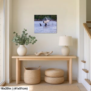 May include: A rectangular wall art print featuring a black and white orca whale breaching the surface of blue water, creating a splash. The scene includes a distant shoreline with green trees. The print measures 16 inches by 20 inches.