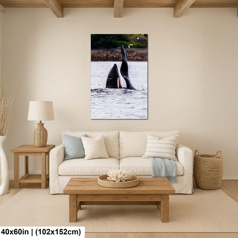 May include: A rectangular wall art print measuring 40 by 60 inches, featuring a high-contrast photograph of an orca whale breaching the surface of the water. The black and white orca is shown with its dorsal fin and head partially above the water.