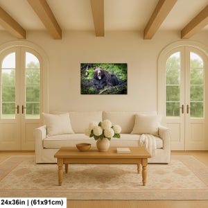 May include: A rectangular wall art print featuring a brown bear resting in a lush green forest setting with its mouth open. The artwork is displayed on a wall above a beige sofa, measuring 24 inches by 36 inches as indicated by the text.