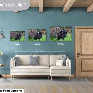 May include: A living room size chart displaying three rectangular wall art prints of a black Highland cow in a green field. The prints are labeled with dimensions of 16x24 inches, 20x30 inches, and 24x36 inches, positioned above a beige sectional sofa.
