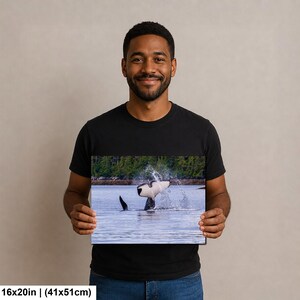 May include: A rectangular wall art print measuring 16 inches by 20 inches, featuring a high-resolution photograph of an orca whale tail breaching the water surface, creating a large splash with a forested shoreline visible in the background.