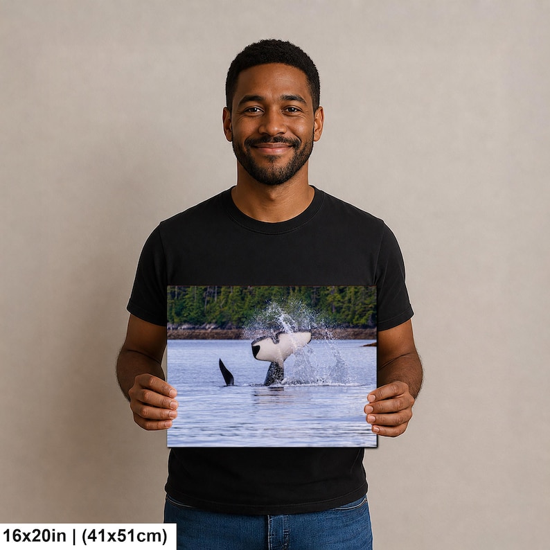 May include: A rectangular wall art print measuring 16 inches by 20 inches, featuring a high-resolution photograph of an orca whale tail breaching the water surface, creating a large splash with a forested shoreline visible in the background.