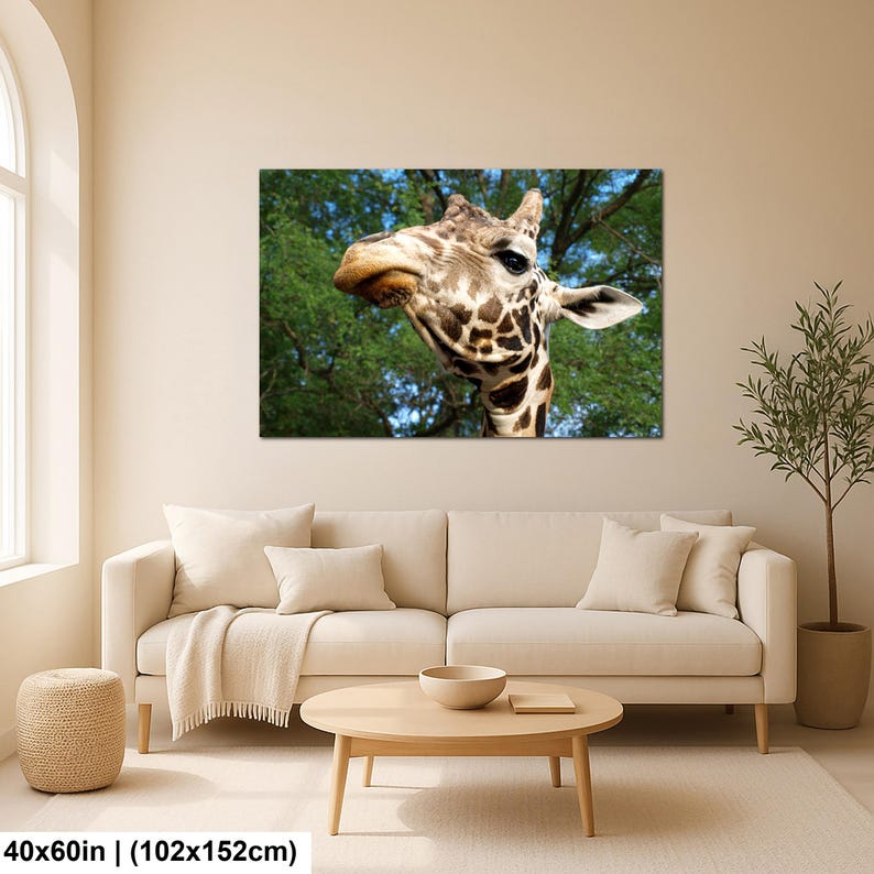 K&ouml;nnte beinhalten: Ein rechteckiger Wandkunstdruck mit einer Nahaufnahme eines Giraffenkopfes vor einem Hintergrund aus gr&uuml;nen B&auml;umen und blauem Himmel. Die Giraffe hat ein braun-wei&szlig; gemustertes Fell, gro&szlig;e dunkle Augen und Ohren. Der Druck misst 102x152 cm.