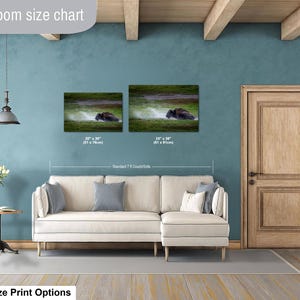 Bison Dust Bath Yellowstone Lamar Valley Fine Art bild 7