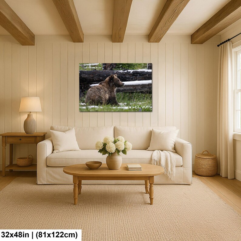 Yellowstone grizzlybjörnsprofil i sommarsnö fotografitryck 32x48 inches