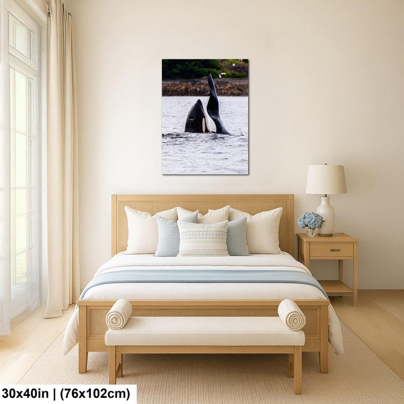 May include: A rectangular wall art print featuring a black and white orca whale breaching the surface of the water with its dorsal fin visible. The print measures 30 inches by 40 inches and is displayed above a wooden bed frame in a bedroom.