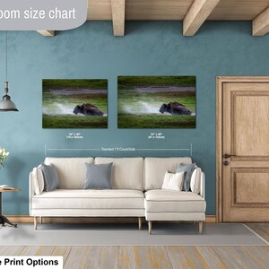Bison Dust Bath Yellowstone Lamar Valley Fine Art bild 12