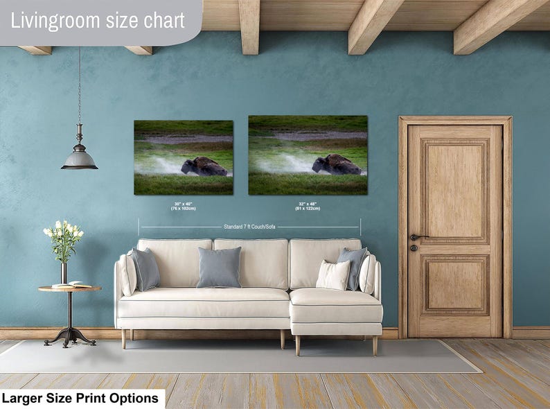 Bison Dust Bath Yellowstone Lamar Valley Fine Art bild 12