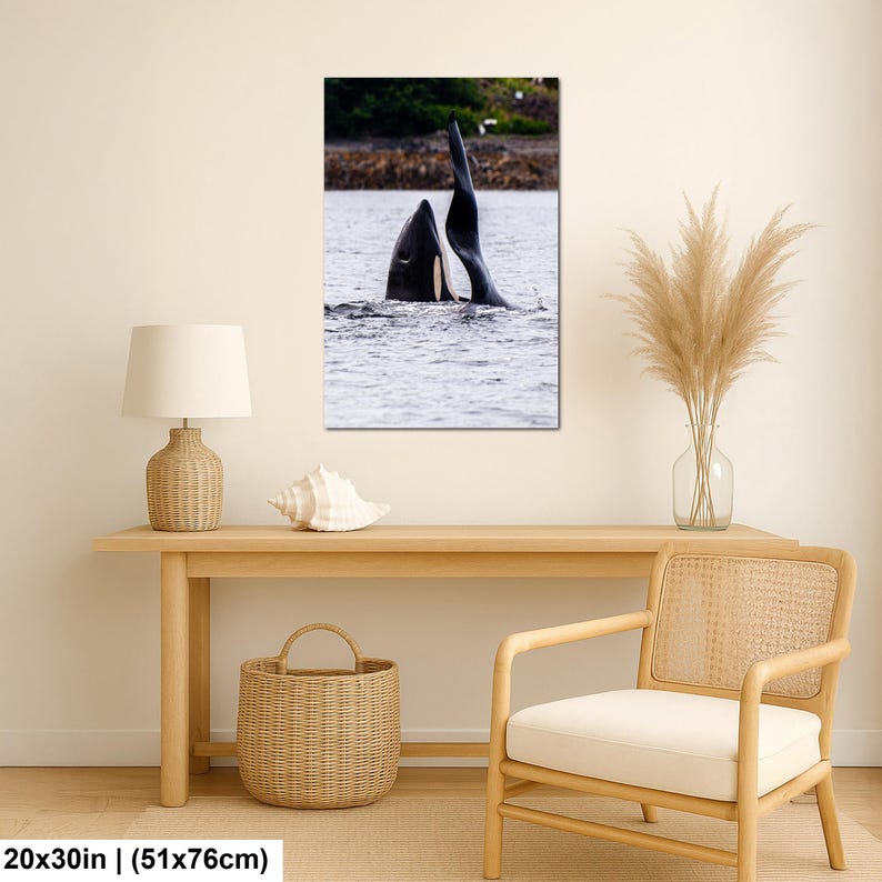 May include: A rectangular wall art print featuring a black and white orca whale breaching the surface of the water, with its dorsal fin and part of its body visible. The artwork is displayed in a 20 by 30 inch format on a light-colored wall.