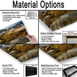 K&ouml;nnte beinhalten: Eine Produkt&uuml;bersicht mit dem Titel Material Options zeigt vier Druckarten: Premium-Fotodruck, Galerie-Leinwand mit 3,81 cm Dicke, Acryldruck mit 0,32 cm klarem Acryl und Metall-/Aluminiumdruck mit 0,12 cm dicker R&uuml;ckseite.