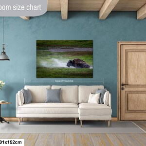 Bison Dust Bath Yellowstone Lamar Valley Fine Art bild 14