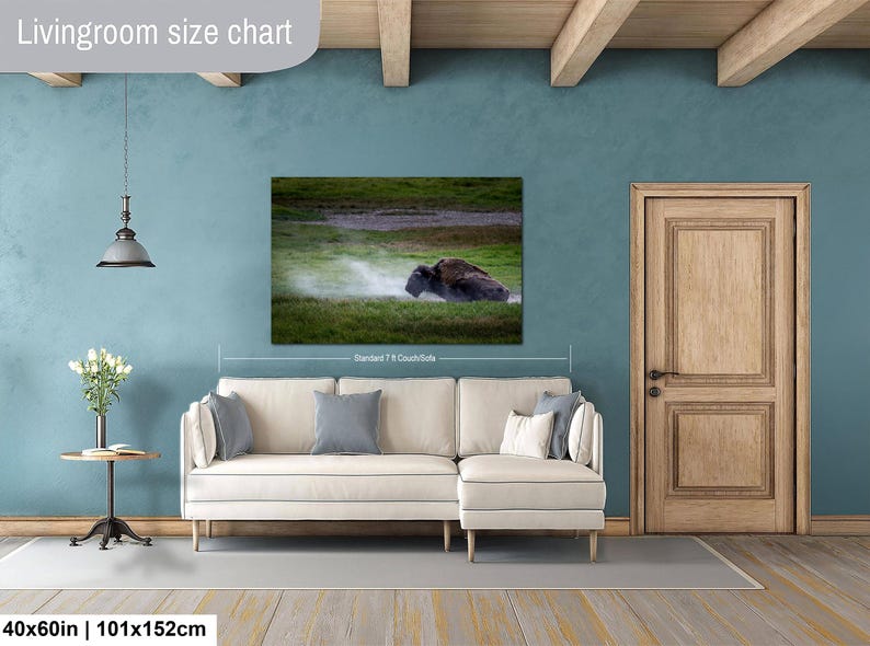 Bison Dust Bath Yellowstone Lamar Valley Fine Art bild 14